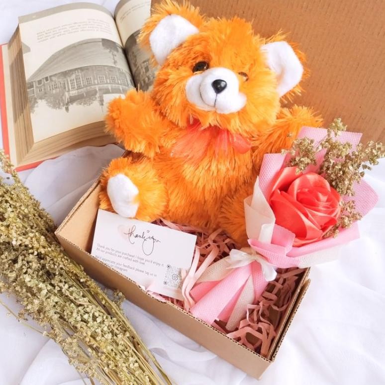 

TR21 Gift Box Hampers Boneka Snack Coklat kado Ulangtahun Wisuda by haiyu.co Berkualitas