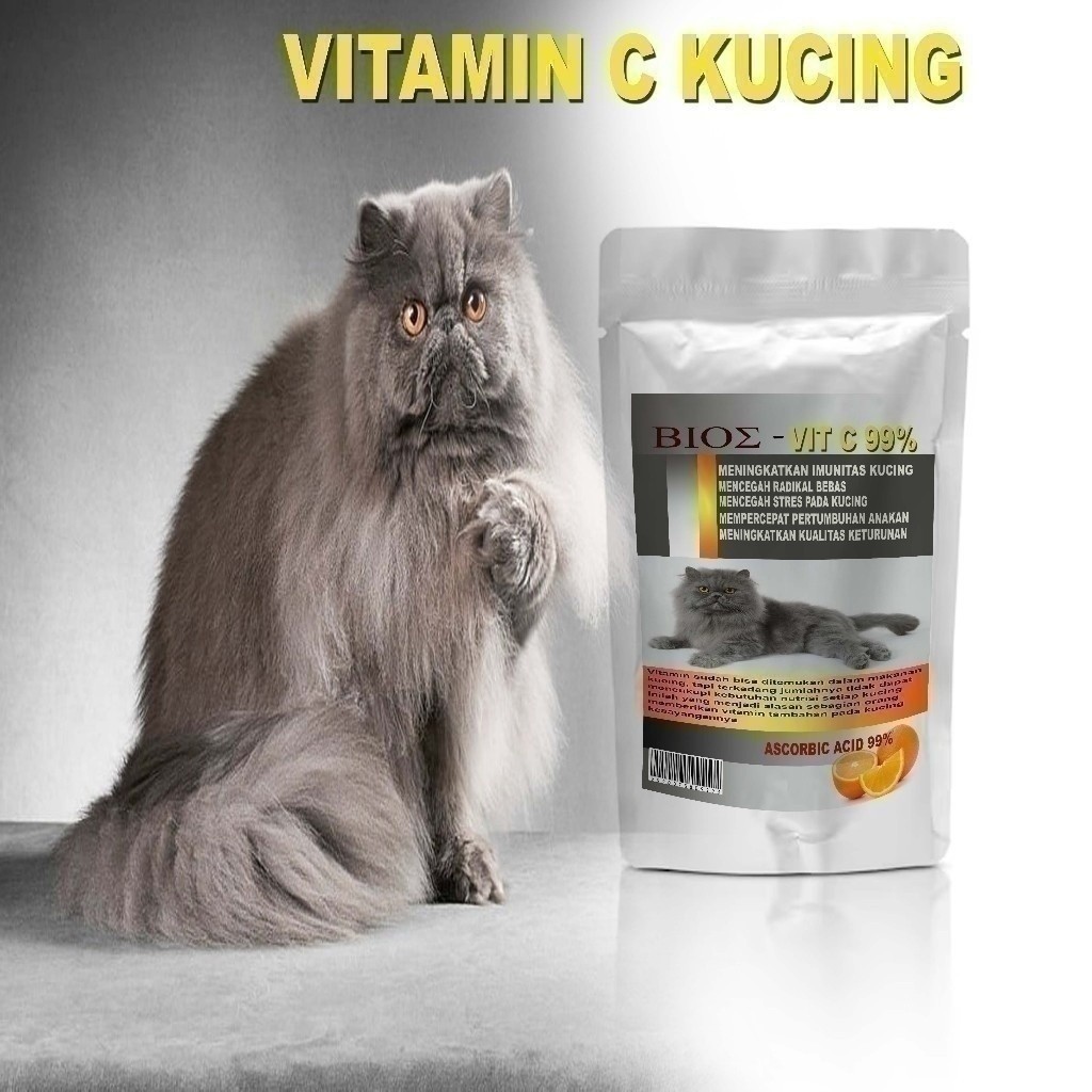 Vitamin kucing kesayangan nutrisi untuk menjaga stamina kucing vit c kucing 17B3336