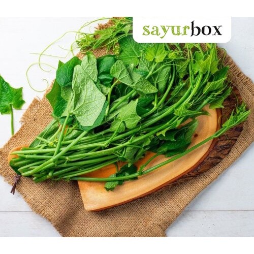 

Daun Pucuk Labu Konvensional 250 gram Sayurbox