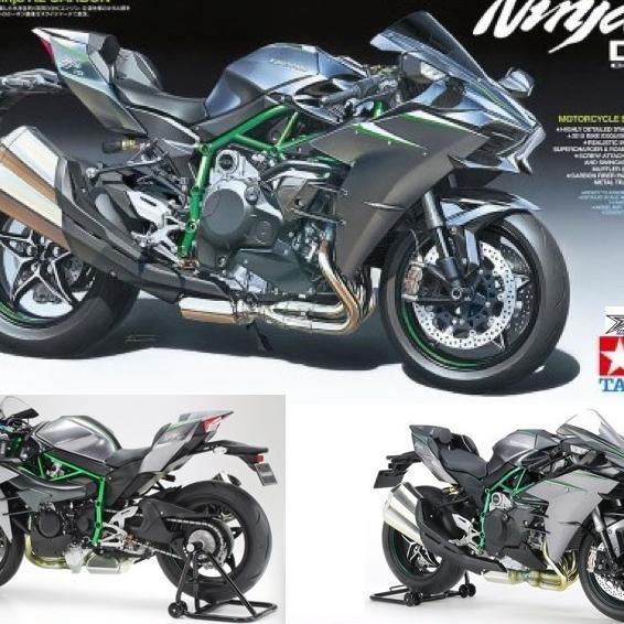 Taya 14136 Ninja H2 Carbon