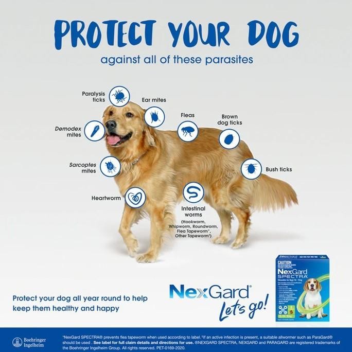 Obat Kutu Anjing Nexgard Dog Obat Demodex Anjing