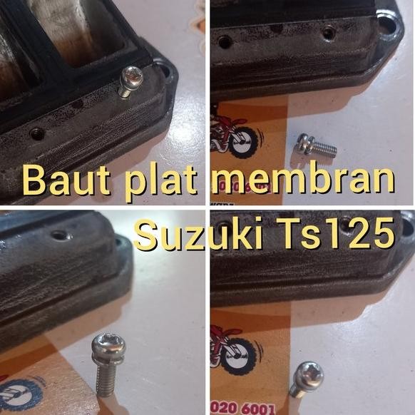 baut plat membran Suzuki Ts125 baut membran Suzuki TS125 baut reed valve Suzuki Ts125 baut harmonika