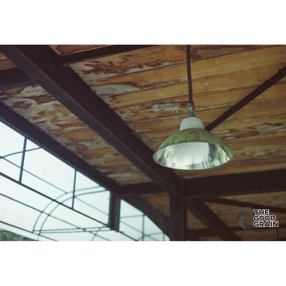 Cuci Gudang Roll Film 35Mm Kodak Vision 3 500T (Ecn-2) Fresh 27 Exposure - The Good Grain Gh-45
