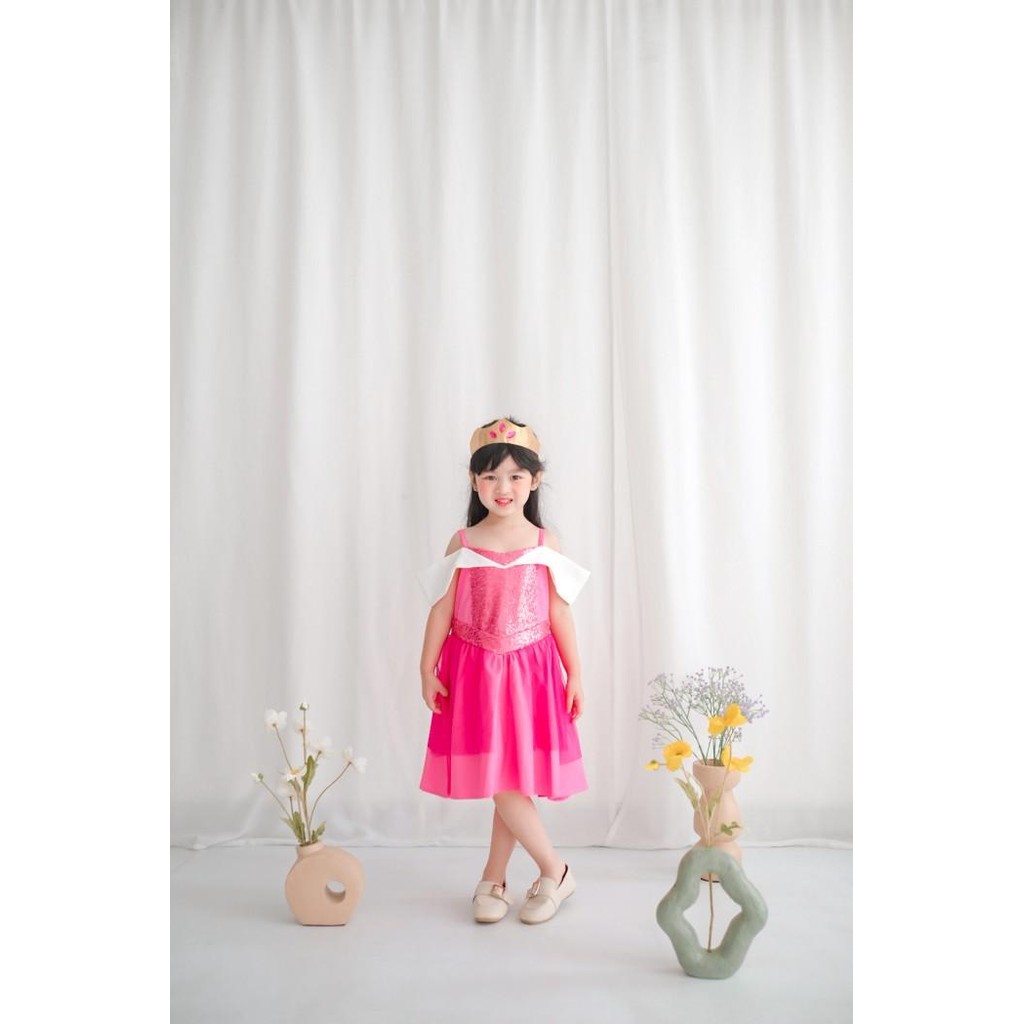 Princess Aurora Dress / Aurora Disney Dress / Dress Princess Anak