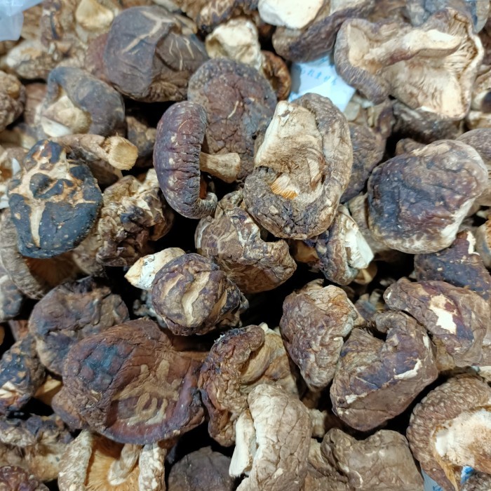 

Jamur Shitake (500G) Hioko / Hio Kou / Mushroom Kering / Hiokou