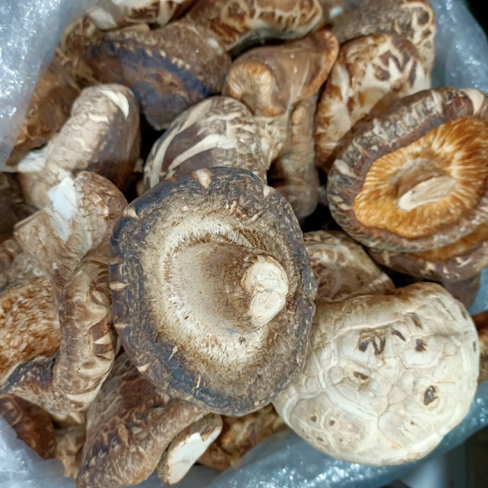 

Jamur Shitake Kering (250G) Hioko / Hio Kou / Hiokou / Dried Mushroom