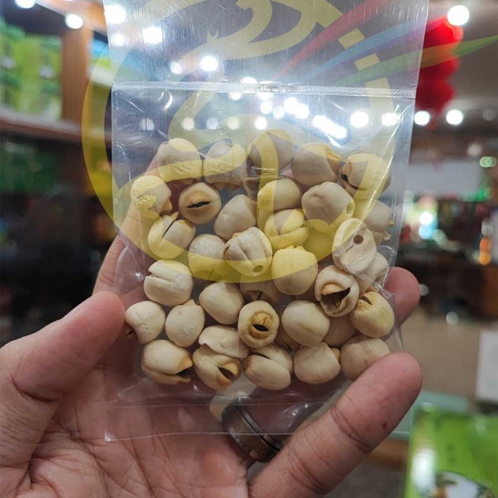 

monggo] Lian Zi Biji Teratai lien ci