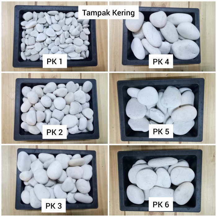 Terlaris Batu Putih Kupang 10 Kg (Batu Alam Koral Sikat Hias Taman)