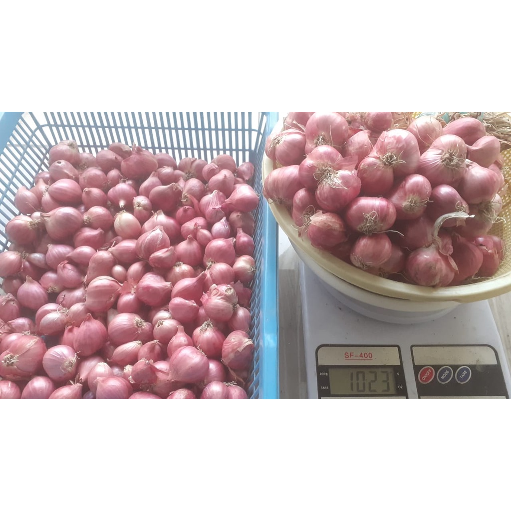 

BAWANG MERAH NGANJUK 1 KG KERING SIAP KIRIM KE LUAR KOTA