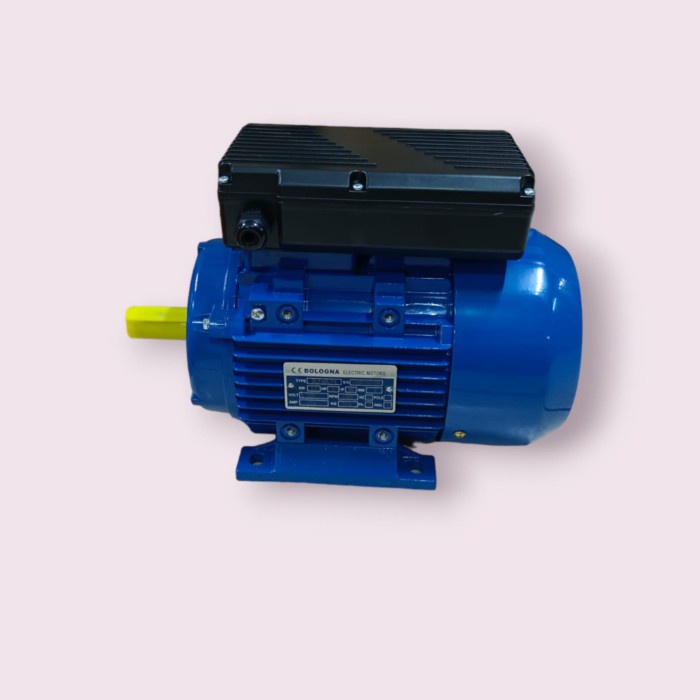 induction motor 1 phase 3 hp / dinamo 3 hp 1 phase 2 pole 2800 rpm