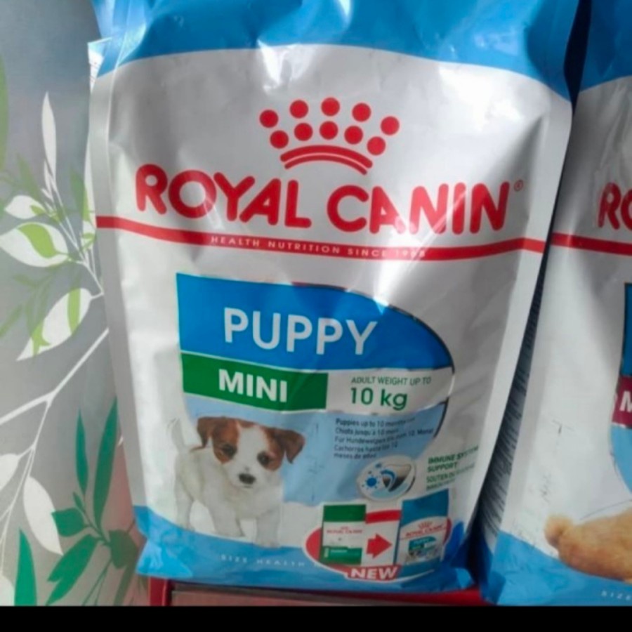 royal canin mini puppy dog food 2kg