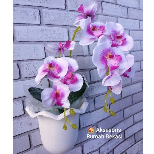 RNHT4900  SET BUNGA PLASTIK ANGGREK 2 CABANG BESAR DENGAN POT DINDING OMBAK