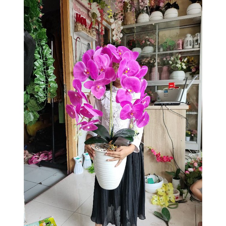 Grosir BcM ANGGREK LATEX premium jumbo pot tawon ⁂ ★★★