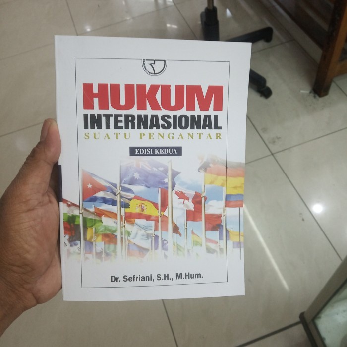 

Hukum International Sefriani