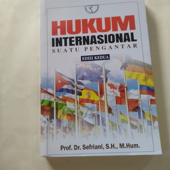 

Ori Hukum Internasional Suatu Pengantar Edisi Kedua Prof Dr Sefriani S