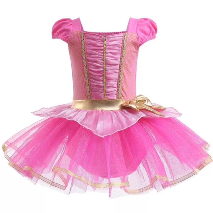 Aurora Princess Ballet Dress Tutu Baju Balet Princess Sleeping Beauty