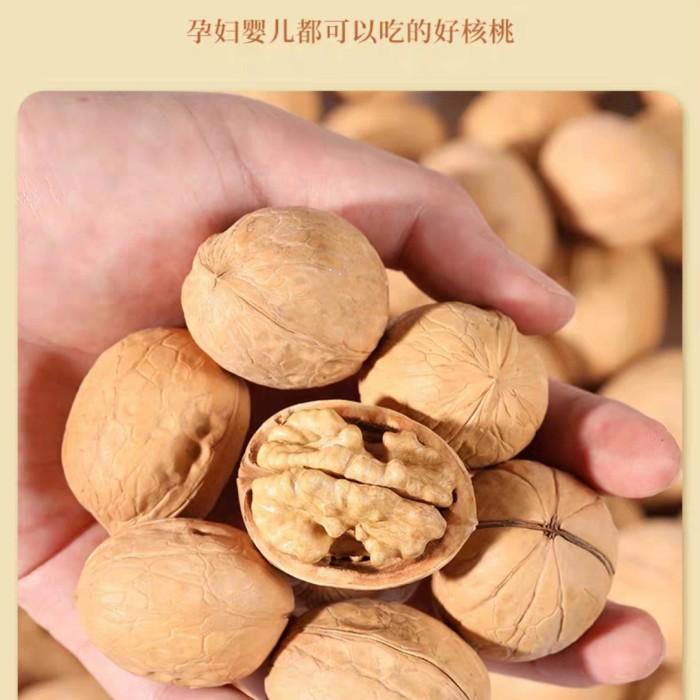 

Kacang walnut/kenari PREMIUM kulit belum dikupas 250 gr Best Seller