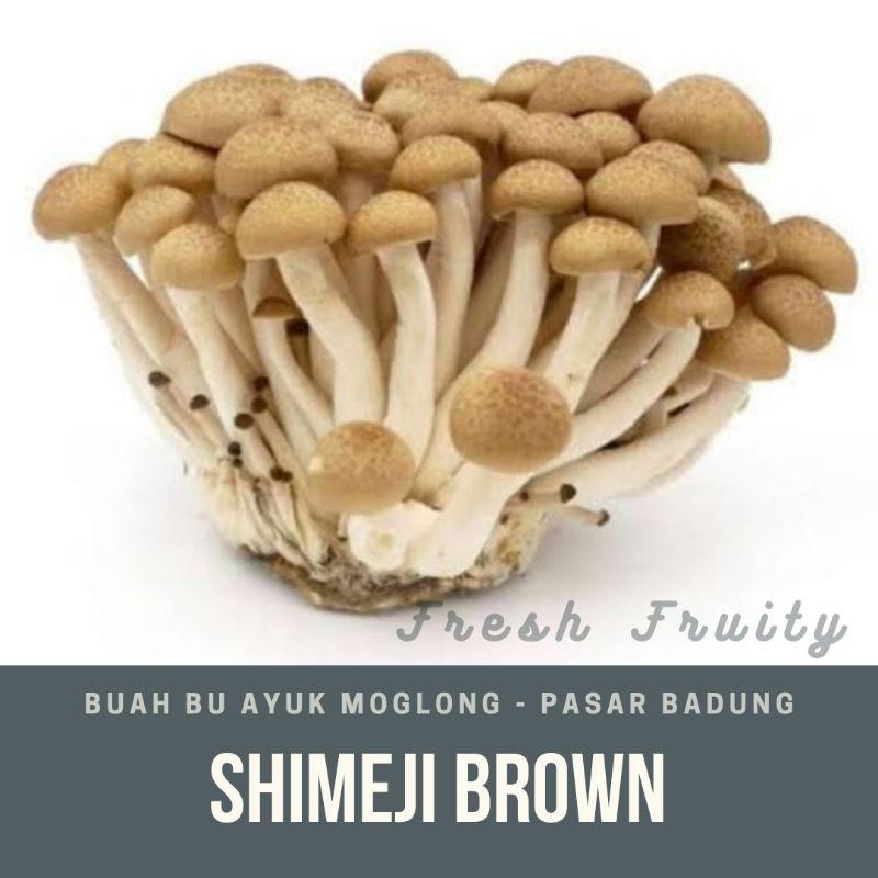 

shimeji brown/pack