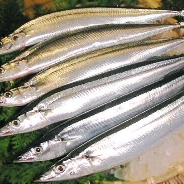 

IKAN KACANG KACANG -ALU ALU 500gr