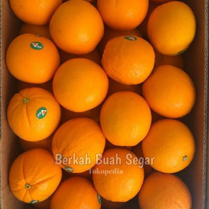 

Jeruk Sunkist NAVEL Fresh per 1Kg