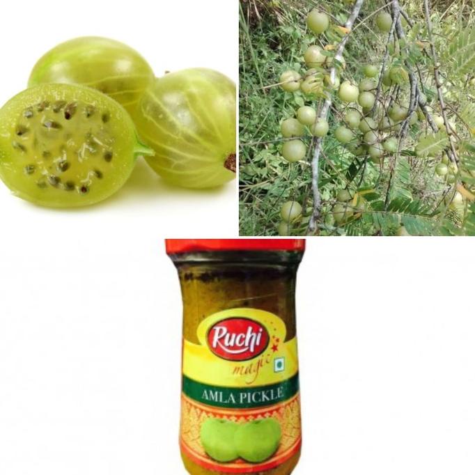 

###### acar/pickle/urka ######