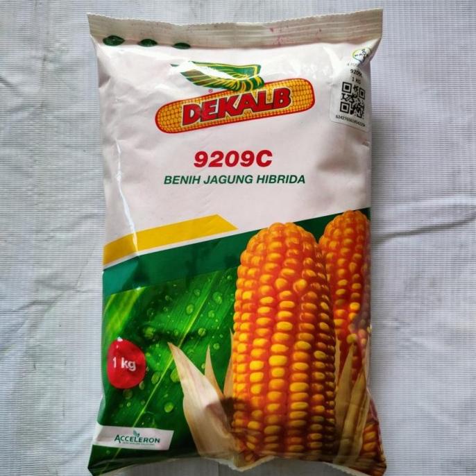 Benih Jagung Hibrida DEKALB DK 9209C 1kg Bibit JAGUNG dari BAYER