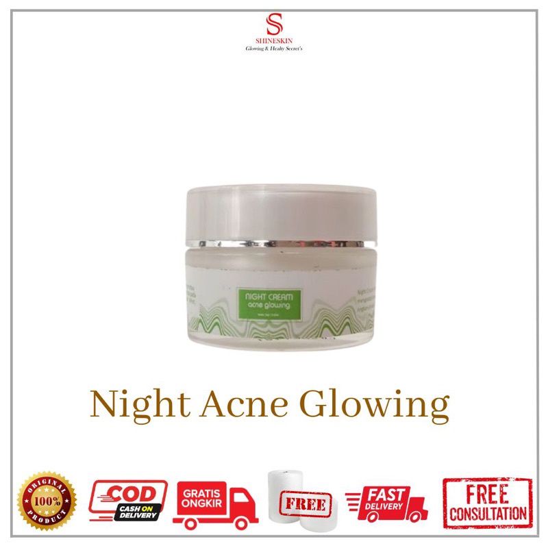 Shineskin Original Night cream acne whitening