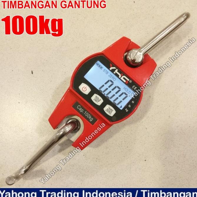 Timbangan Gantung Digital Mini Crane Scale 100Kg 0.05Kg
