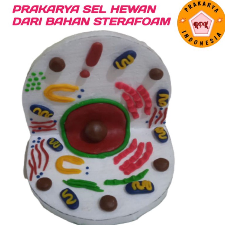 Harga Termurah.. PRAKARYA SEL TUMBUHAN DAN SEL HEWAN