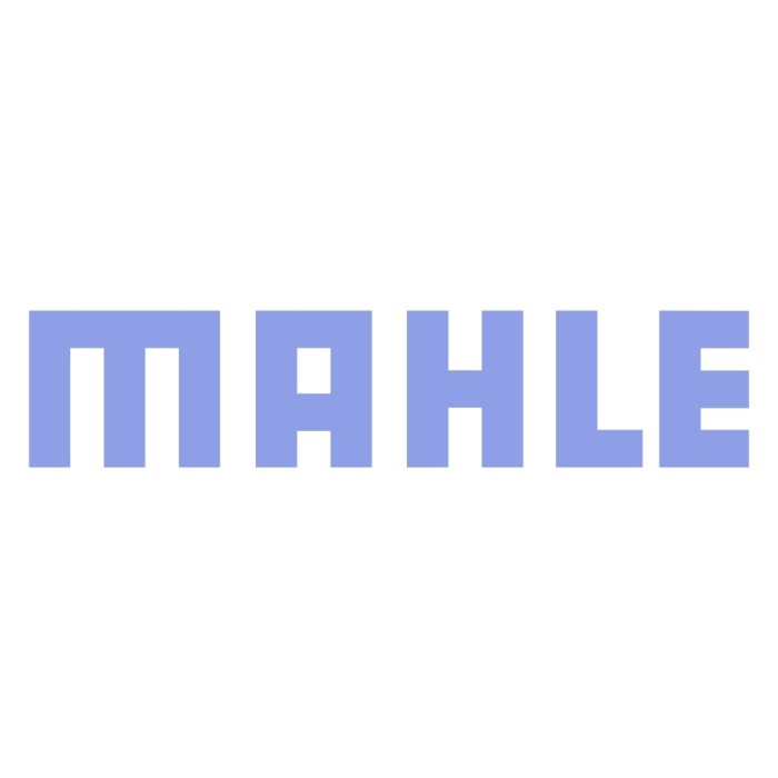 Piston 300e w124 Ov50 Merk MAHLE / Ring Seker Seher Mercy Overhaul