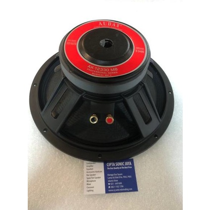 Speaker Audax 12 Inch AX 12330 M8 Full Range AX12330