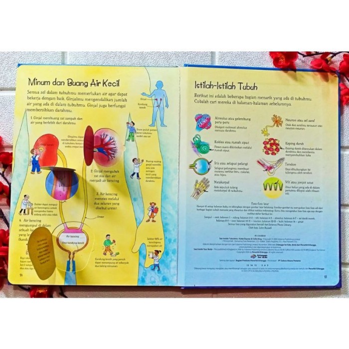 DISKON SPESIAL TERBARU USBORNE FLAP BOOK SEE INSIDE TUBUHMU (USBORNE TERJEMAHAN) TERMURAH