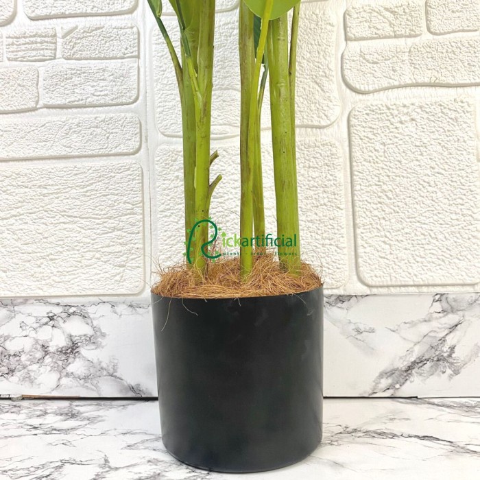 PROMO POHON DAUN HELICONIA PISANGAN BIRD OF PARADISE T165 LATEX ARTIFICIAL TERBARU