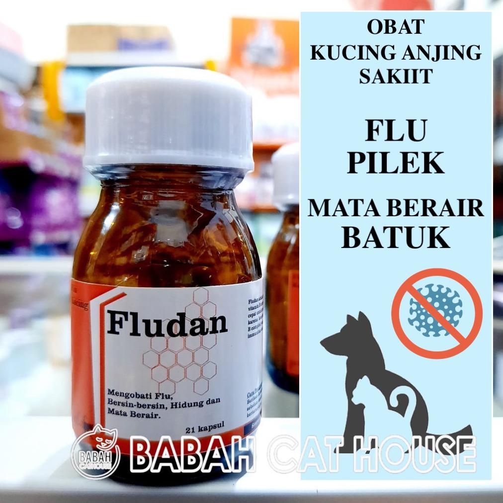 FLUDAN KAPSUL Obat Flu Kucing Kitten Anjing Anak Hewan Pilek Cat Murah Ampuh Dog Puppy Untuk Mata Be
