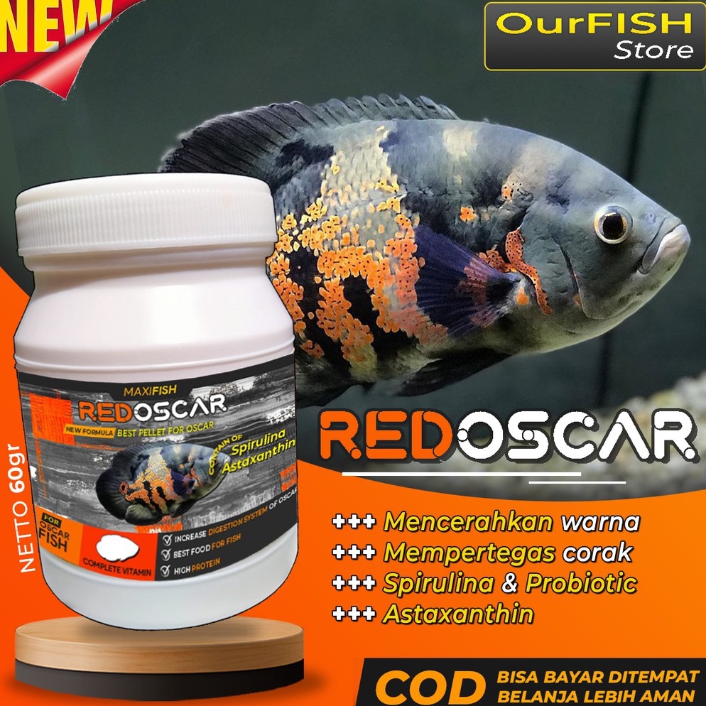 [☄V99➤] Pakan Ikan Oscar Pelet Makanan Oscar Premium Oscar Tiger Albino Batik Paris Tembaga Slayer R