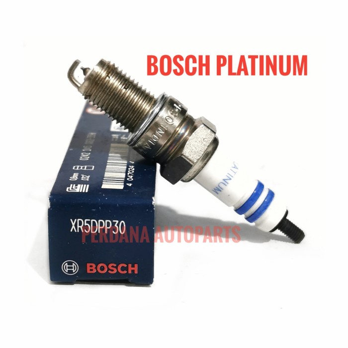 Busi Honda Tiger / Gl Pro / Gl Max - Bosch Platinum Iridium Kode Br08