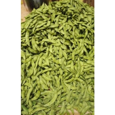 

MNVS2565 Ready Stok Edamame fresh