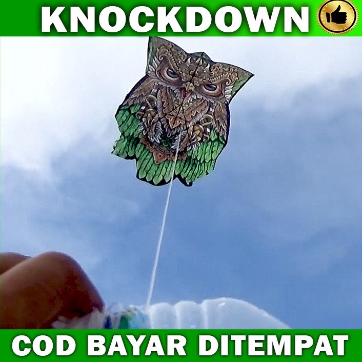 ST8579 LAYANGAN CELEPUK KNOCKDOWN , LAYANGAN CELEPUK LIPAT eh70z