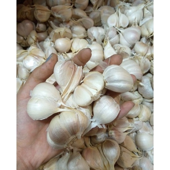 

Paket Hemat Bawang Putih Kating Bersih 1kg