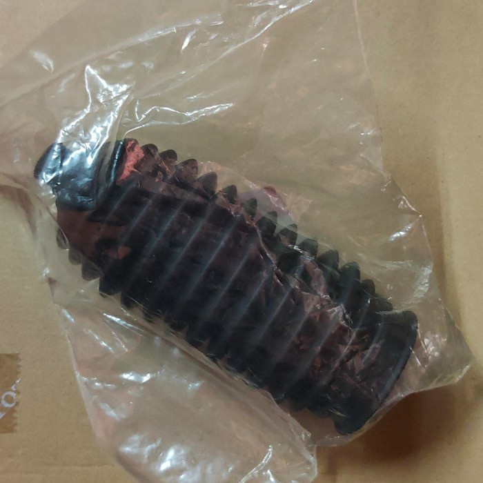 Boot Steer Honda Odessey RB1 ORIGINAL