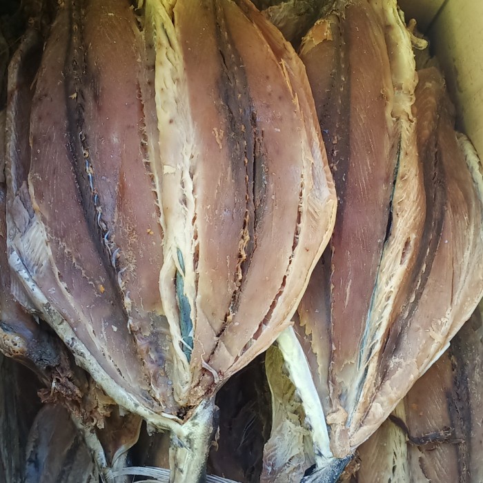 

ikan asin tongkol utuh 1 Kg Fresh.