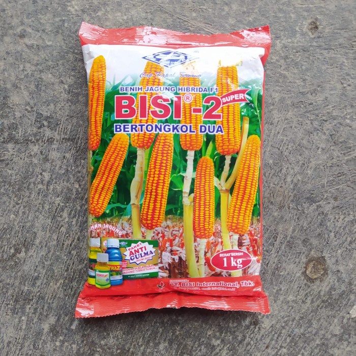Benih Bibit Jagung Hibrida BISI 2 Tongkol Dua Original 1 Kg