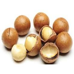

Promo Baru 500 Gram Kacang Macadamia Roasteds Ready