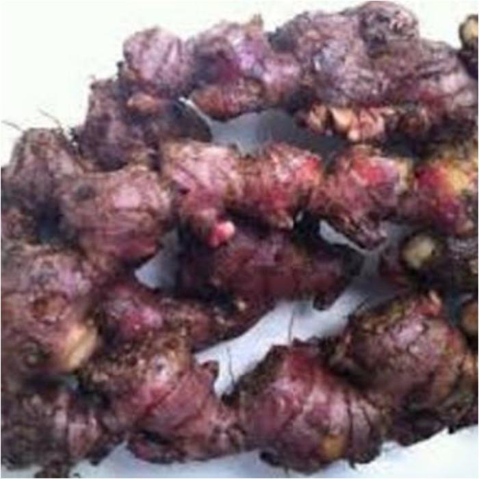 

Jahe Merah Segar Herbal 1000 Gr Best Seller