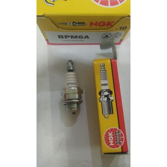 Busi Spark Plug Pemotong Rumput Chainsaw BPM6A NGK Original terbaik