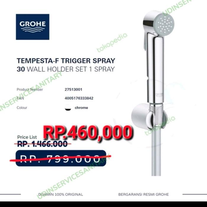 Grohe 27513001 Tempesta-F Jet Shower Crome