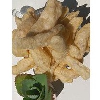 

BATAGOR ASIN 250 gram