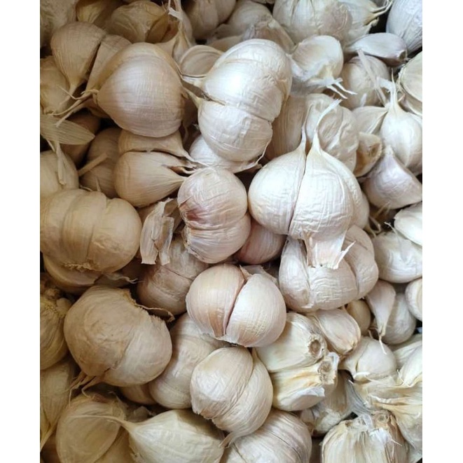 

bawang putih