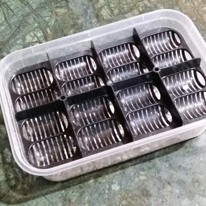 Terlaris Egg Tray Incubator