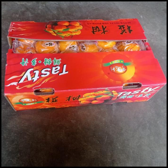 

HOT DEAL BIAH JERUK MANIS TASTY FRESH/BUAH IMPORT/ BUAH MURAH/ GIFT IMLEK